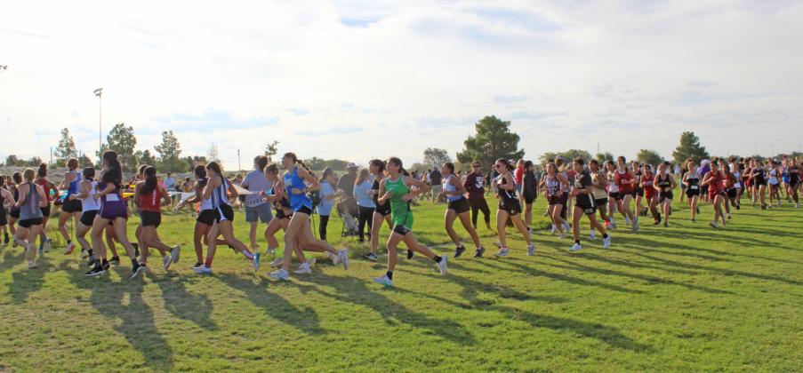 WT’s 50th Career Expo set for Sept. 26 in Canyon