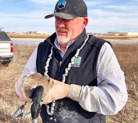 Swisher Co. Playa Field Day April 13 to focus on birds