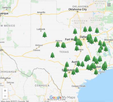 CUT-YOUR-OWN CHRISTMAS TREE FARMS IN TEXAS