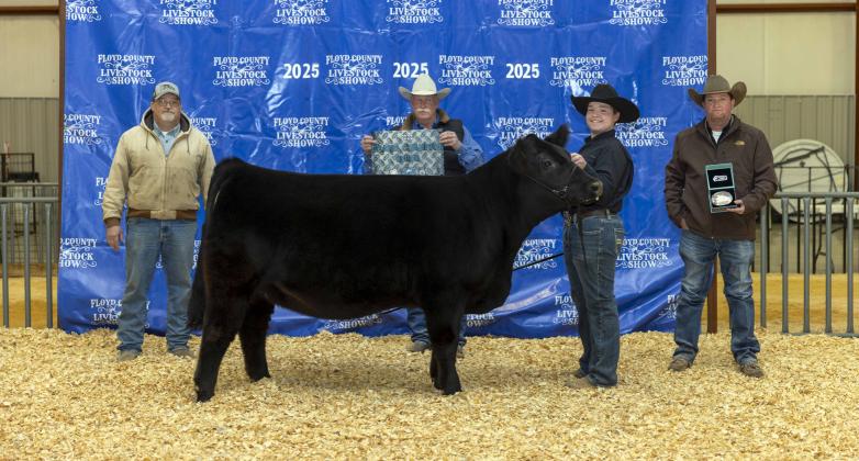 GRAND CHAMPION DAIRY HEIFER AAREN REXRODE