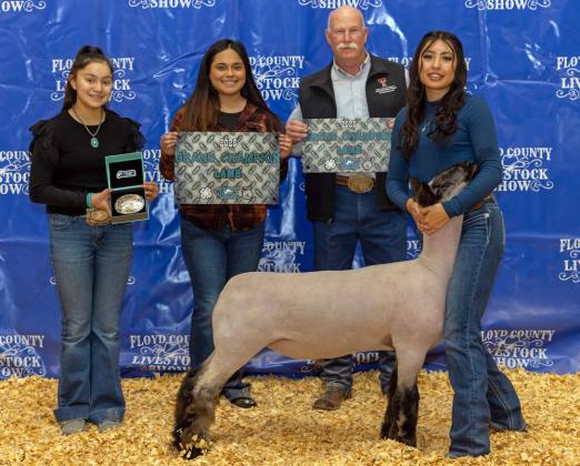 GRAND CHAMPION LAMB MICHELLE GUERRERO