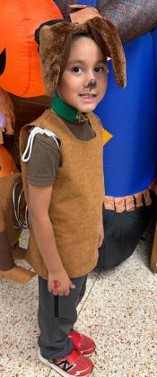 TRUNK OR TREAT