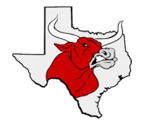 Lady Horns earn All-District basketball honors