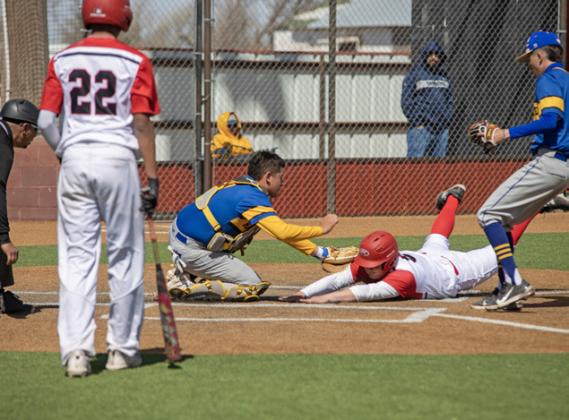 Longhorns, Lady Horns diamond action this week