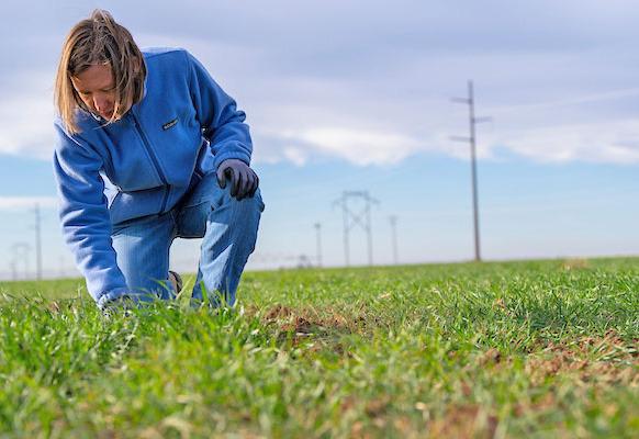 FOR WOMEN The Texas A&amp;amp;M AgriLife Extension Service will hold Annie’s Project-Education for Women in Agriculture, a nationally acclaimed, six-week workshop tailored toward women in agriculture, from March 4 to April 15 in Plainview. | MICHAEL MILLER/TEXAS A&amp;amp;M AGRILIFE