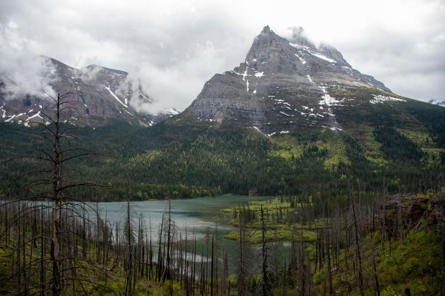 A summer’s journey north
