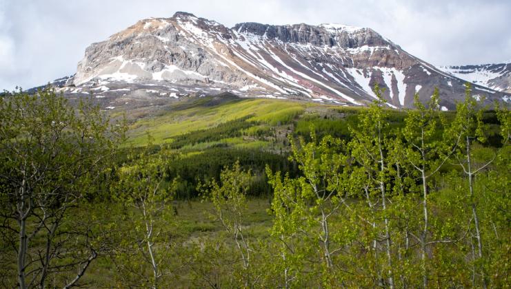 A summer’s journey north