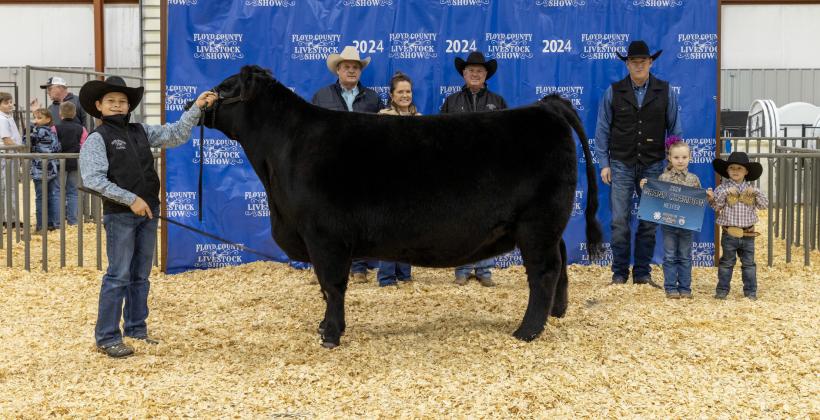 GRAND CHAMPION HEIFER BRAXTON COLE