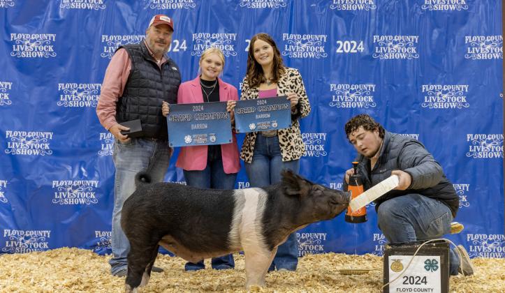 GRAND CHAMPION BARROW KAILEIGH COOK