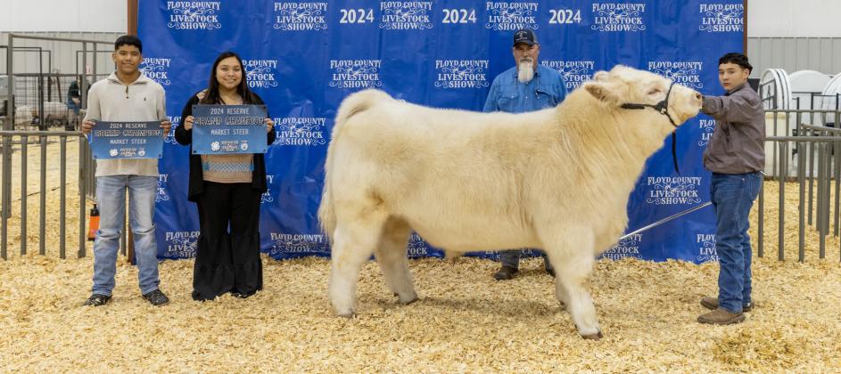 RESERVE GRAND CHAMPION MARKET STEER DAVID SANCHEZ