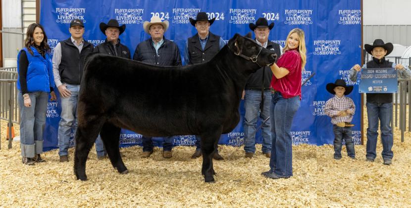 RESERVE GRAND CHAMPION HEIFER BRAILEY KIDD
