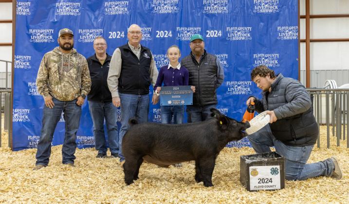 RESERVE GRAND CHAMPION BARROW BRIGHTON REESE