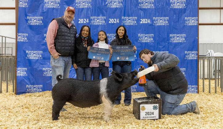 RESERVE GRAND CHAMPION GILT ADALIYAH JONES
