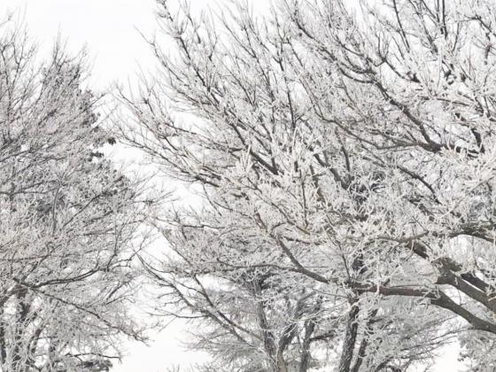 SNOWING UP A STORM Winter Storm Uri, Feb. 13–17, left many homes and businesses across the region without electrical power, heat and water.