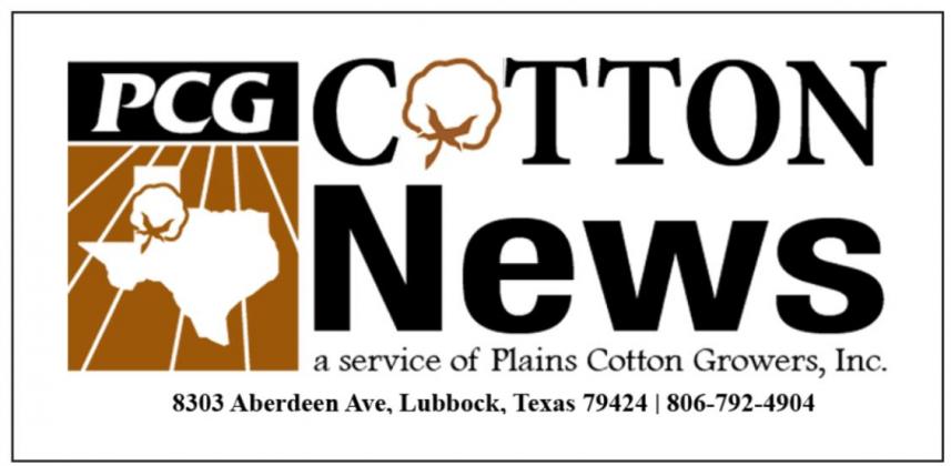 November cotton and cottonseed price/marketing figures released