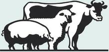 2025 Floyd County Livestock Show