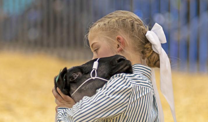 ANIMAL INSTINCTS Youngsters from all corners of Floyd County—such as Lakyn Rawls, shown here with her prize lamb—exhibited their junior livestock project animals last week at the Unity Center in Muncy, taking home ribbons, life lessons, and lots of admiration. Look for our Winners Circle special coverage in next week’s Hesperian-Beacon, with thanks to generous advertiser support. | CERVANTES PHOTOGRAPHY