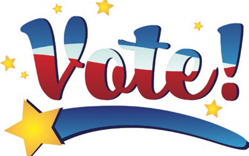 Ballots set for city councils, school boards
