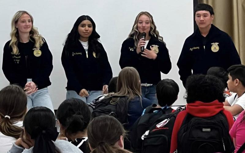 FFA WEEK