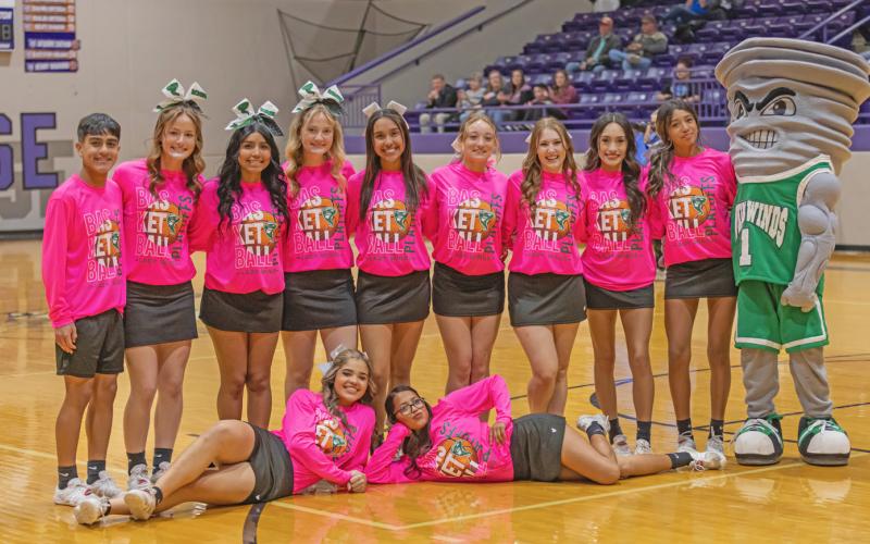 Lady Winds begin playoffs against Farwell in Dimmitt