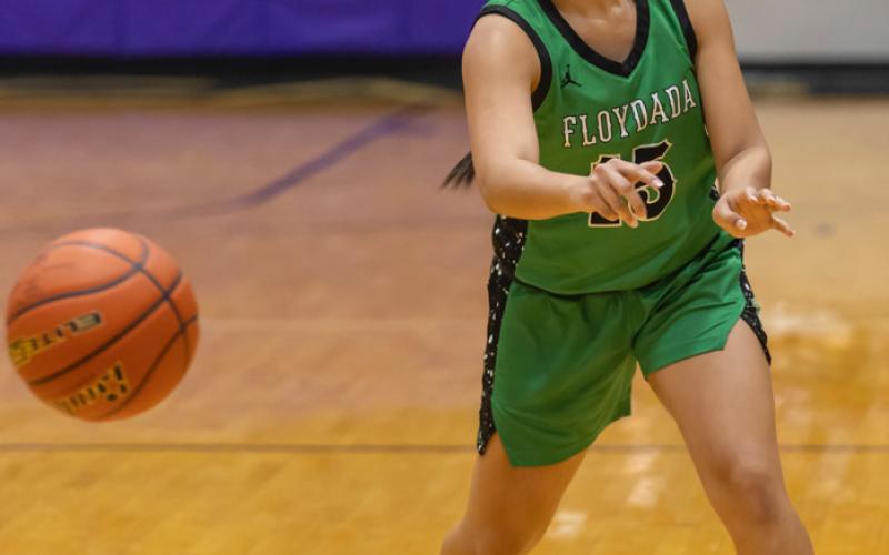 Lady Winds begin playoffs against Farwell in Dimmitt