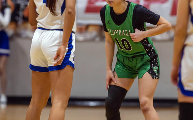 Lady Winds begin playoffs against Farwell in Dimmitt