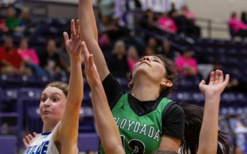 Lady Winds begin playoffs against Farwell in Dimmitt