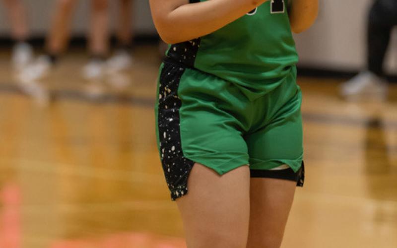 Lady Winds begin playoffs against Farwell in Dimmitt