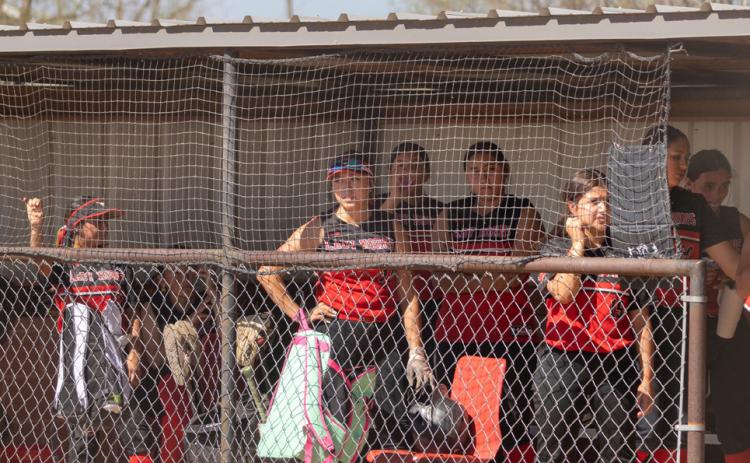 Longhorns take 8-4 win over Springlake-Earth