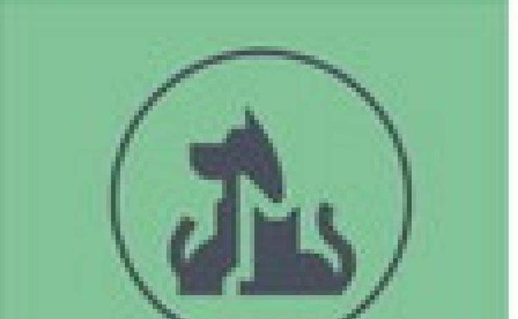 Animal Rescue Friends of Floydada to hold low-cost vaccine clinic, fundraiser