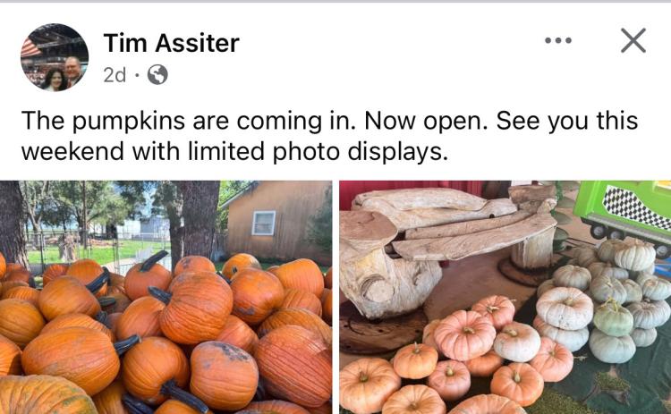IT’S PUNKIN TIME in Floyd County, a season that’s celebrated annually at locations such as the Assiter Punkin Ranch on Highway 207 south of Floydada, as well as via the annual Floydada tradition of Punkin Days coming up in October. | FACEBOOK