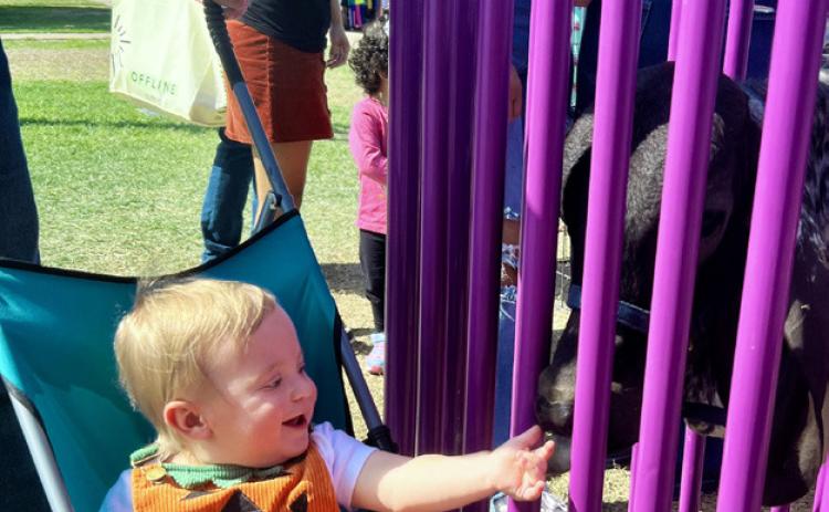 AMONG THE THRONGS enjoying Floydada’s 39th annual Punkin Days and a visit to the petting zoo and the Assiter Pumpkin Patch Oct. 10 was young Waylon Clarkson. SPOTLIGHT PHOTOS, PAGE 8 | ANGLIE CLARKSON