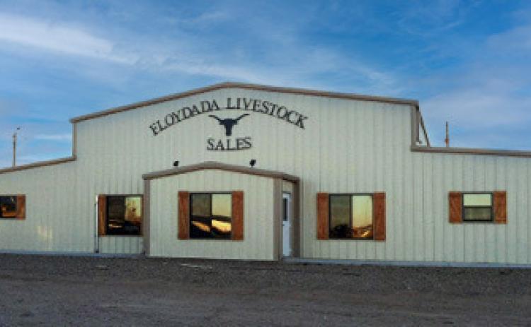 NEW SCALES for weighing cattle were a recent business improvement to benefit from Floydada Economic Development Corporation funding. | COURTESY PHOTO