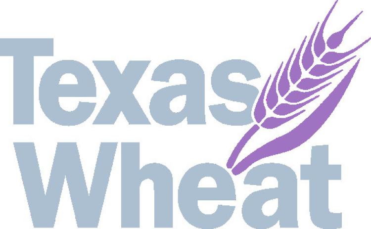 Texas wheat increases research investment