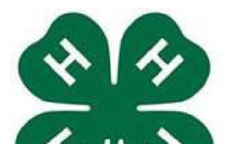 FLOYD COUNTY 4-H NEWS & ACTIVITY CALENDAR