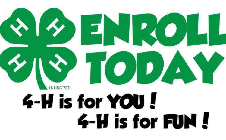 FLOYD COUNTY 4-H ACTIVITY CALENDAR & NEWS
