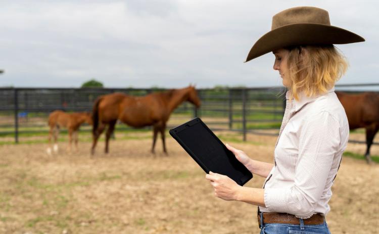 ON ALERT A new statewide alert system designed to notify Texans about agricultural threats, wildlife diseases, invasive pests and quarantine actions is now available through the Texas A&amp;M AgriLife Extension Service. | MICHAEL MILLER, TEXAS A&amp;M AGRILIFE PHOTO