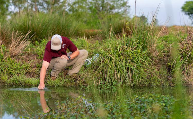 The Texas A&M AgriLife Extension Service will present a webinar,“The Tiniest Pond Managers: Natural Bacteria and Bacterial-Derived Products,” on June 16 from 6 to 7:30 p.m. | HANNAH HARRISON, TEXAS A&amp;M AGRILIFE PHOTO