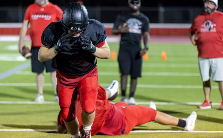 SPOTLIGHT ON MIDNIGHT MADNESS