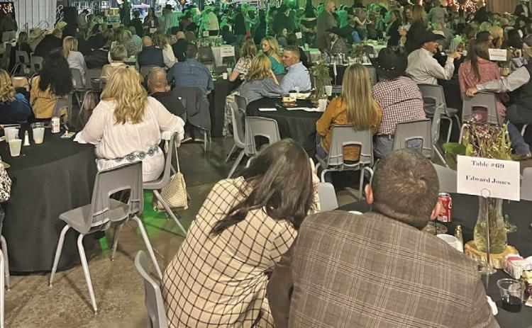27th annual Floyd County Gala raises $164,000