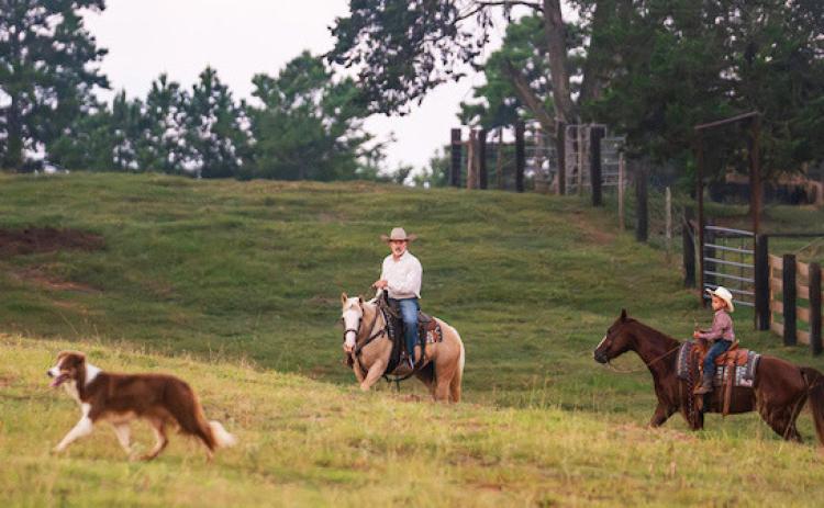 Registration is open for the Generation Next: Our Turn to Ranch, a 12-week online course offered by the Texas A&amp;M AgriLife Extension Service on Jan. 26-April 19. The course provides instruction on starting a new agriculture business or enterprise as well as land management. | HANNAH HARRISON/ TEXAS A&amp;M AGRILIFE