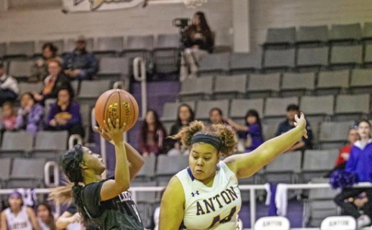 Floyd County Roundball Roundup