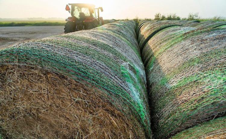 FORAGE OUTLOOKS Ranchers and forage producers had a much better hay season than the previous two years. Cool-season forage outlooks aren’t so clear, but Texas’ supply of hay bales is in good shape going into winter. | MICHAEL MILLER AND LAURA McKENZIE/TEXAS A&amp;M AGRILIFE