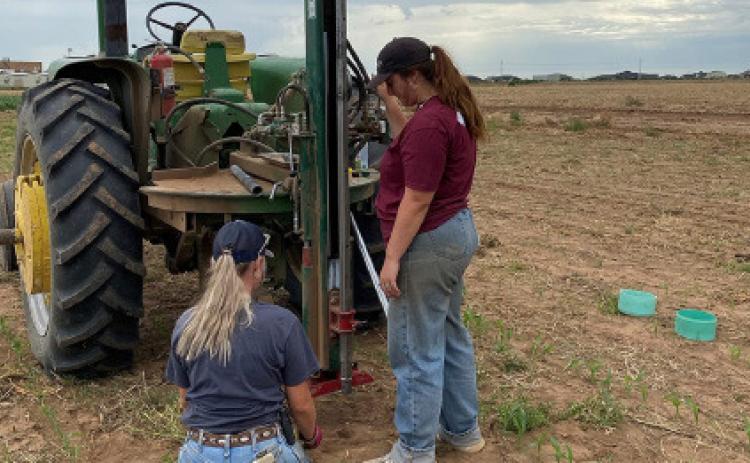LOWERING COSTS Texas A&amp;M AgriLife Extension Service agronomy team members take deep soil samples in stubble before starting the new planting season. AgriLife Extension researchers recently published a study suggesting that deep soil testing may be able to help farmers reduce fertilizer costs. | JOURDAN BELL/TEXAS A&amp;M AGRILIFE