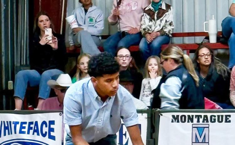 AG HONORS Congratulations go to Armando Chavarria III on placing first at the Russel Johnson Memorial Swine Jackpot with his cross gilt in an all-barrow class and for placing with both of his berks. | FLOYDADA CISD PHOTO