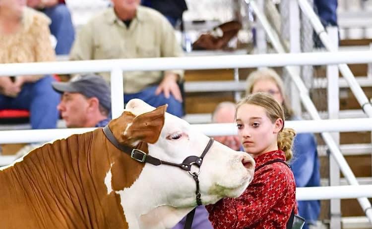 SPOTLIGHT ON FLOYD COUNTY FFA AT MAJOR LIVESTOCK SHOWS