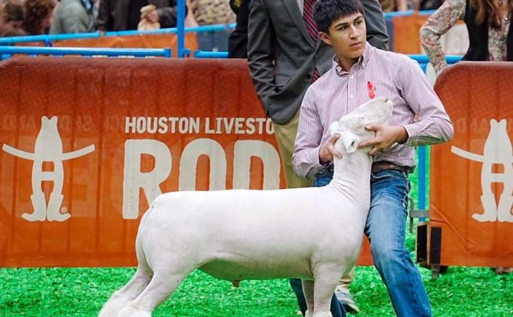 HARD WORK IN THE BARN PAYS OFF