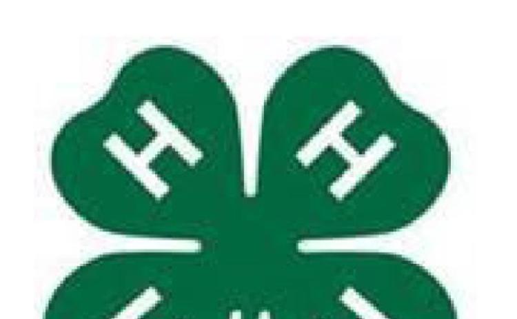 FLOYD COUNTY 4-H NEWS & ACTIVITY CALENDAR