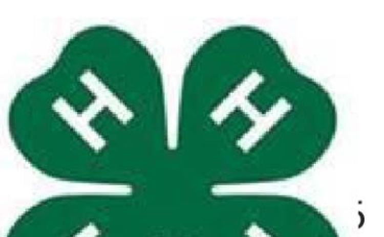 FLOYD COUNTY 4-H NEWS & ACTIVITY CALENDAR