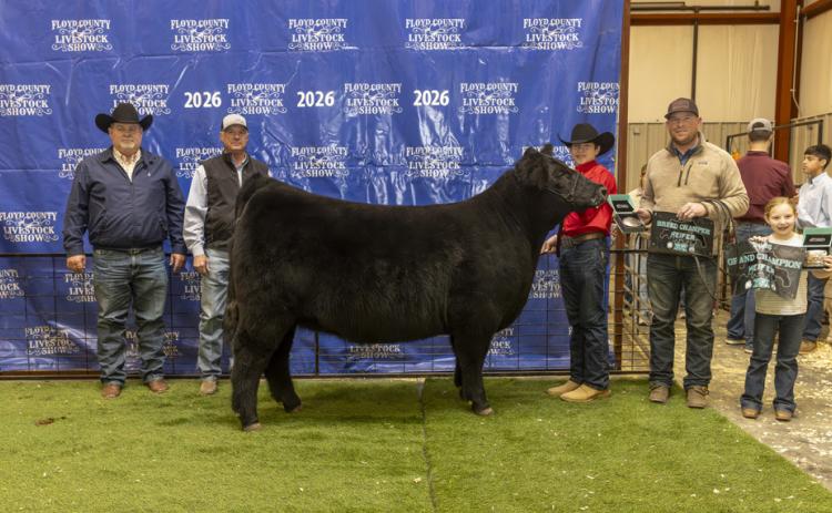 GRAND CHAMPION BREEDING HEIFER BRAXTON COLE